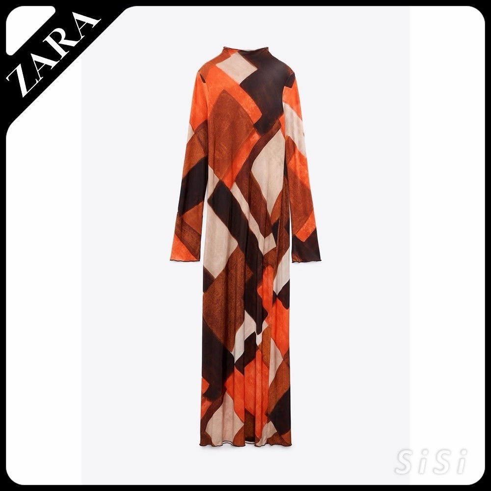 Zara Long Sleeve maxi dress